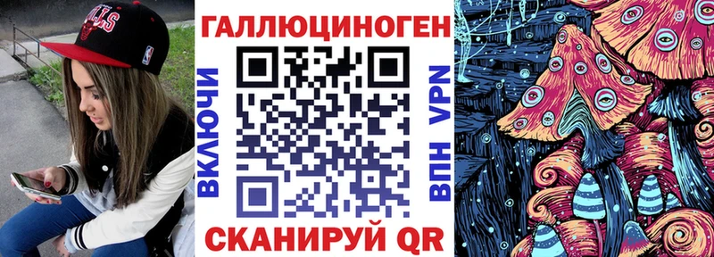 наркотики  Сосновоборск  Галлюциногенные грибы Psilocybine cubensis 